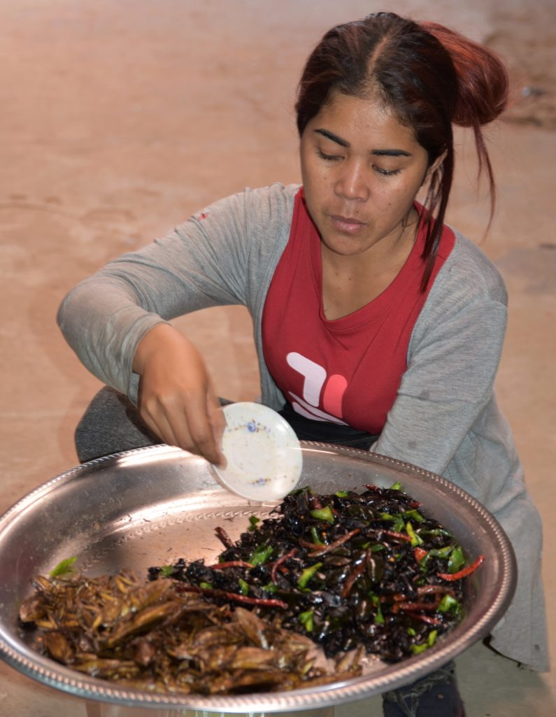 A little snack in between @ Chong Chom border market © Stephan Schweitzer 2019